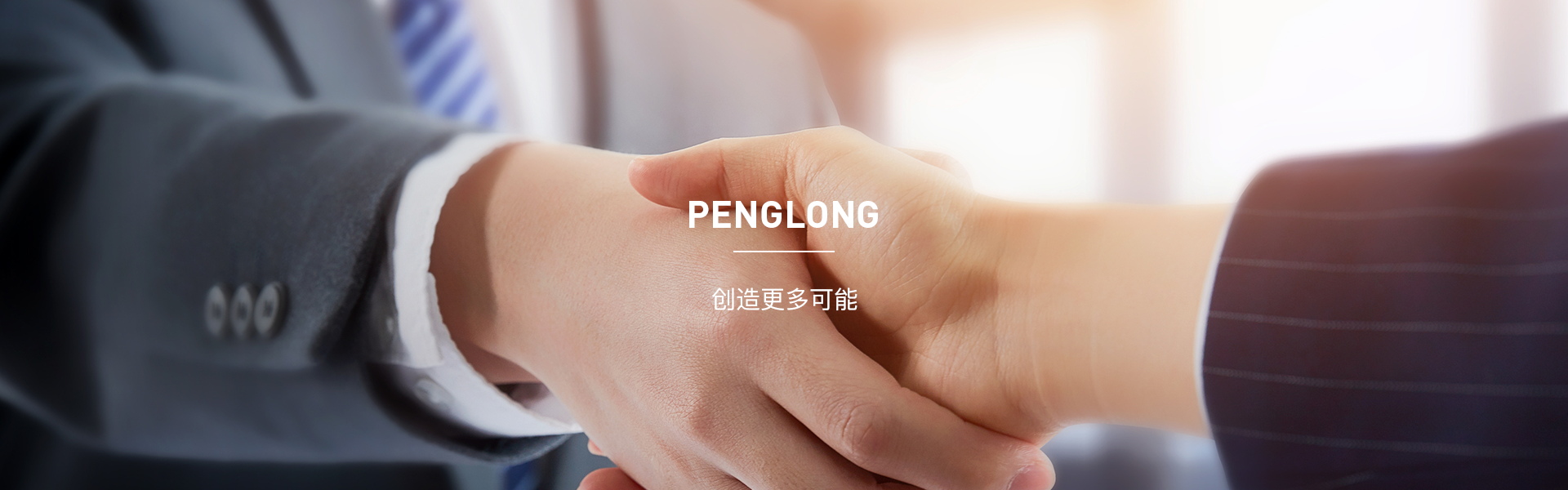 浙江鹏隆科技有限公司